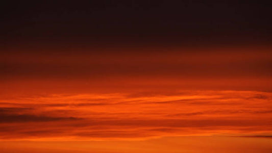 Understanding Rothko: An Art Advisor’s Personal Reflection