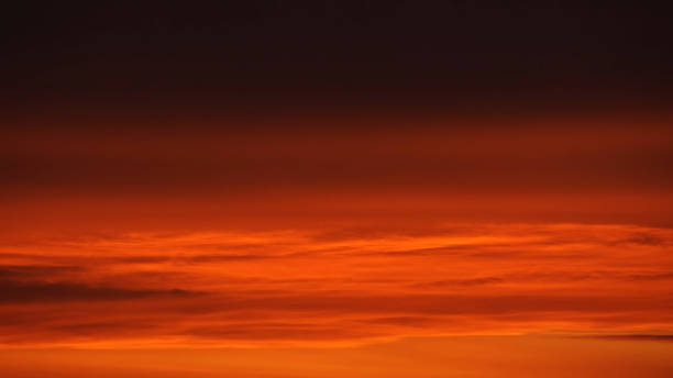 Understanding Rothko: An Art Advisor’s Personal Reflection
